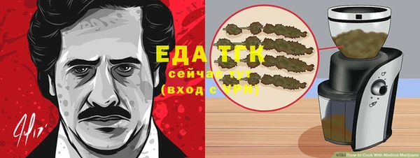 молекула духа Арсеньев