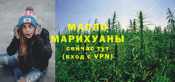 молекула духа Арсеньев