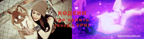 молекула духа Арсеньев