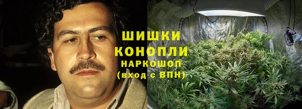 молекула духа Арсеньев