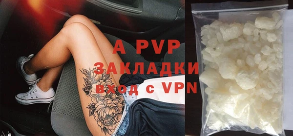 молекула духа Арсеньев
